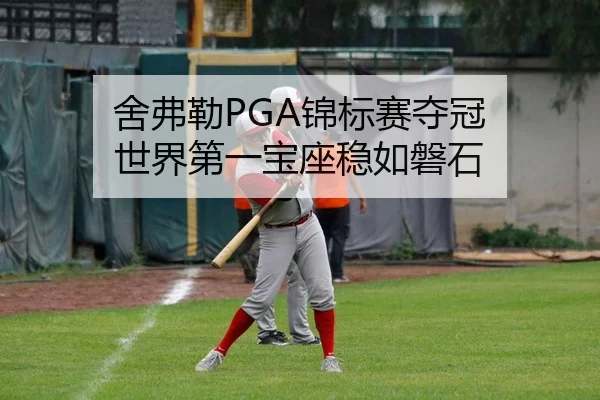 舍弗勒PGA锦标赛夺冠 世界第一宝座稳如磐石